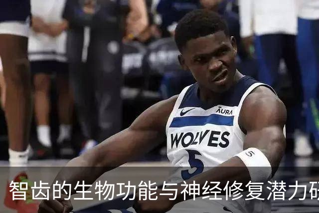 智齿的生物功能与神经修复潜力研究